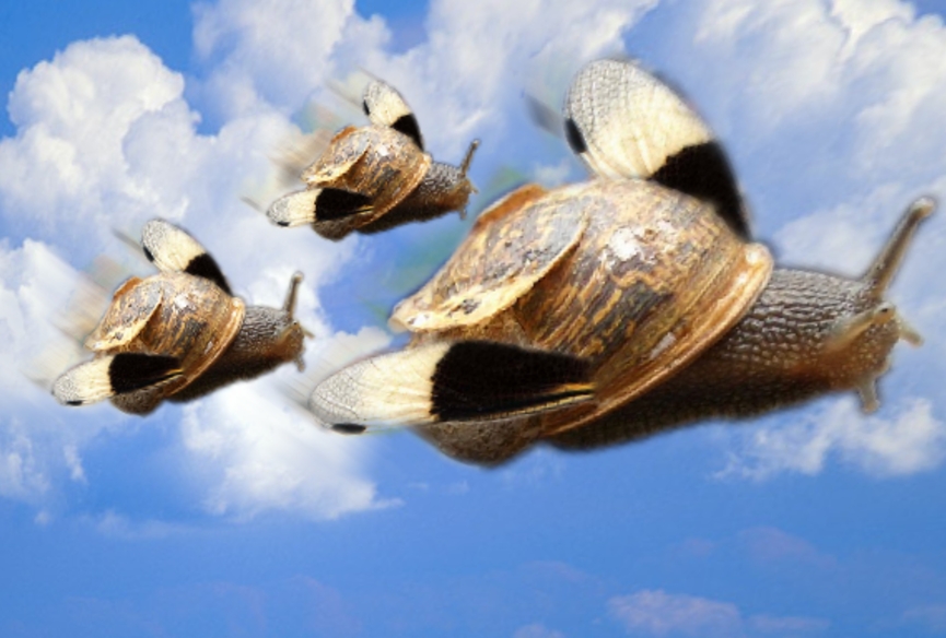 Photoshop Design by banateanul for DesignCrowd (Community Contests) | Design #9015102