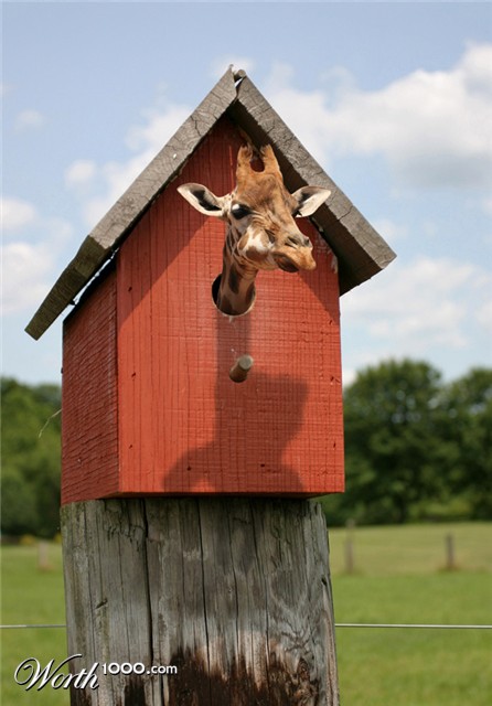 Photoshop Design by Eladine