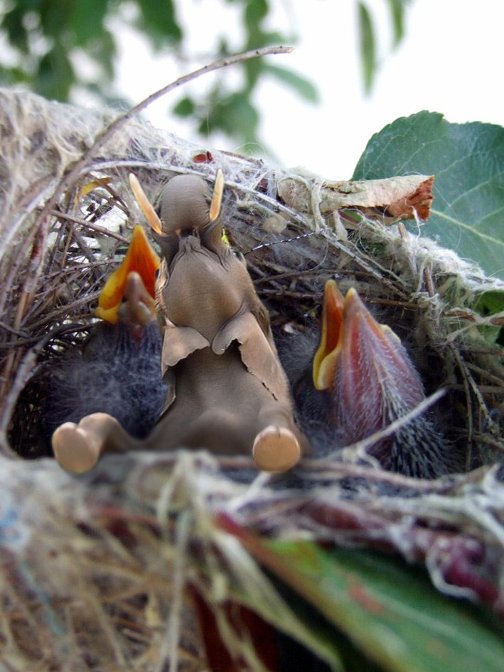 Photoshop Design by Pixelicious for DesignCrowd (Community Contests) | Design #9015119