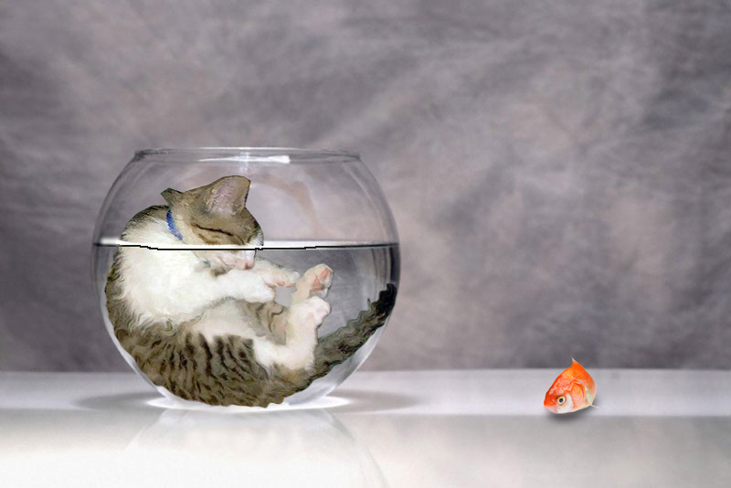 Photoshop-Design von kooskoodiroo für DesignCrowd (Community Contests) | Design #9015127