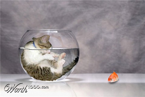 Photoshop Design by kooskoodiroo