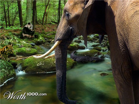 Photoshop Design by had438