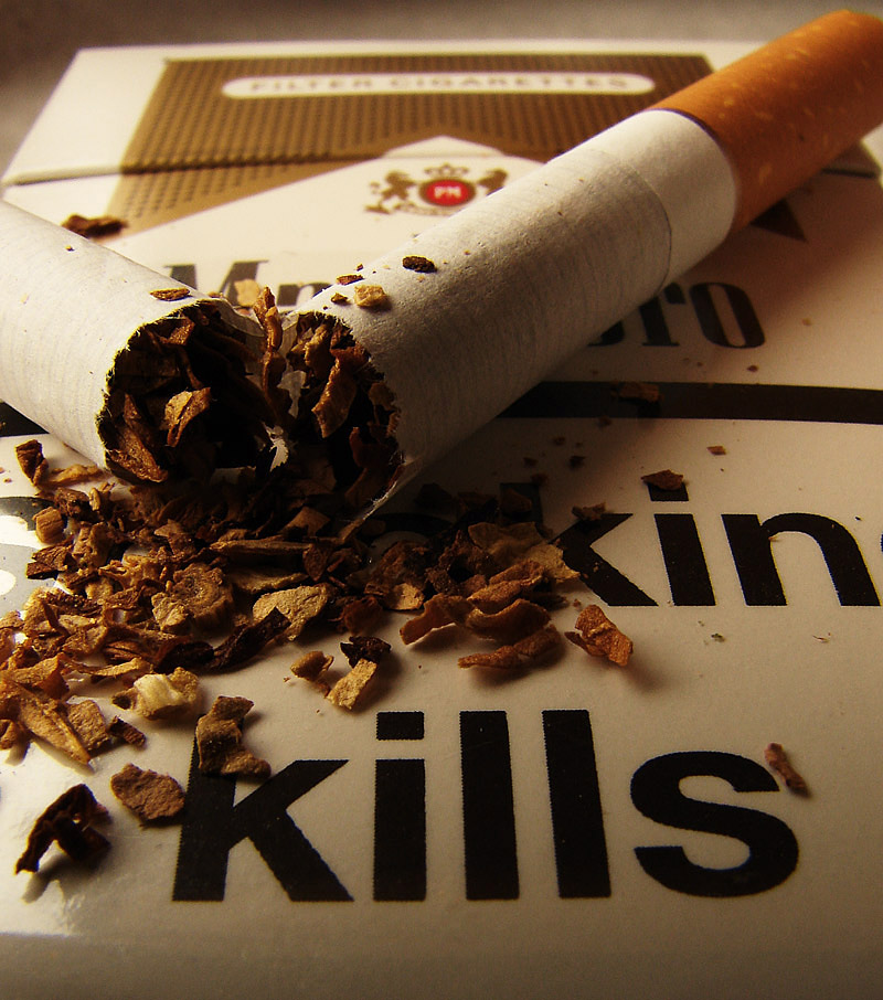 Fotografie von chilledcoder für DesignCrowd (Community Contests) | Design #9014829