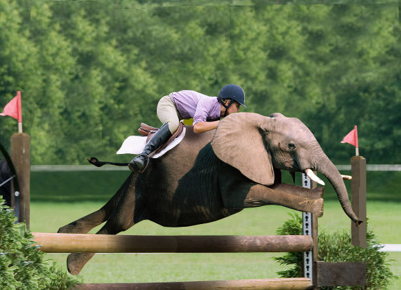 Diseño de Photoshop por comsubin para DesignCrowd (Community Contests) | Diseño #9015161