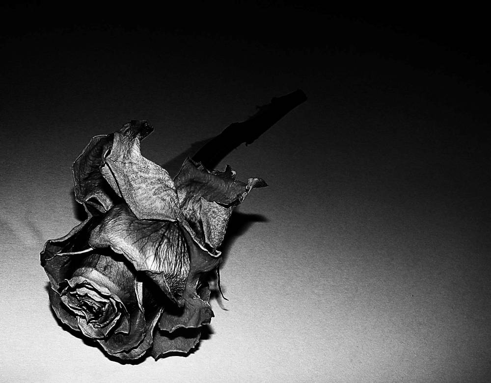 Photographie par Berilu pour DesignCrowd (Community Contests) | Design #9013332