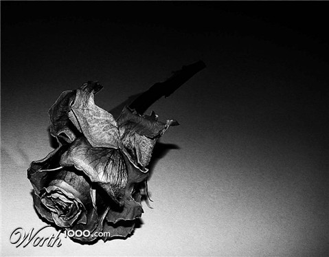 Photography by Berilu