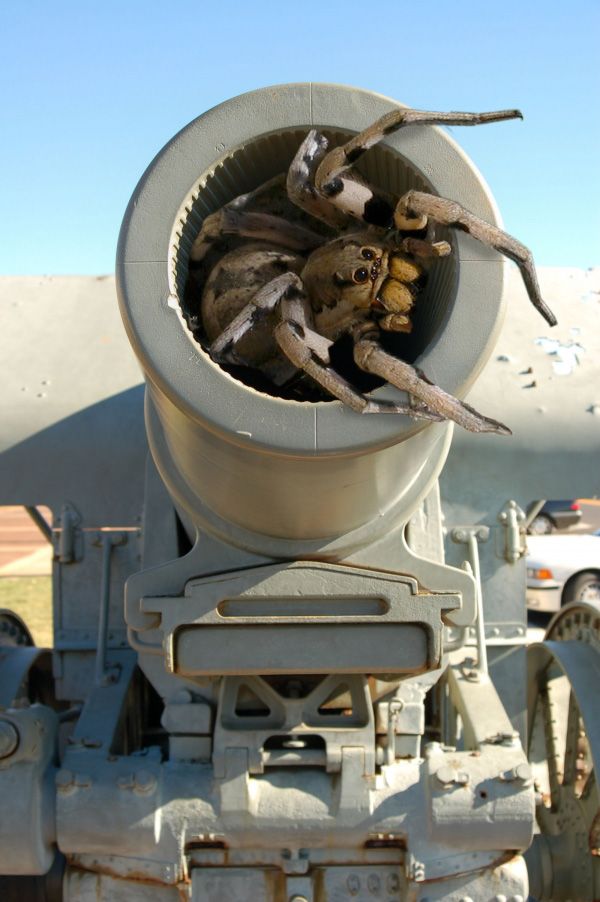 Photoshop Design by damirspanja for DesignCrowd (Community Contests) | Design #9015168