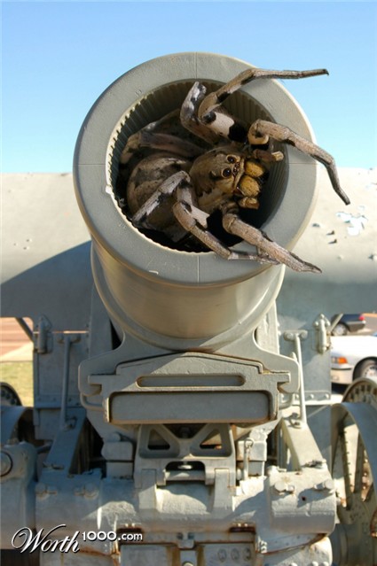 Photoshop Design by damirspanja