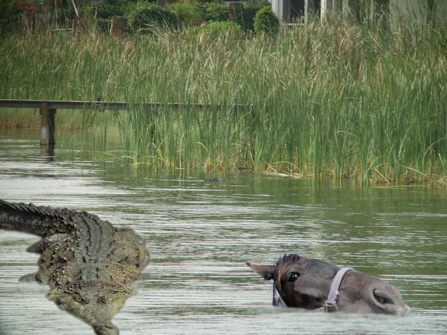 Photoshop-Design von Schwemkd für DesignCrowd (Community Contests) | Design #9015186