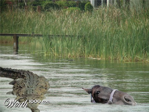 Photoshop Design by Schwemkd