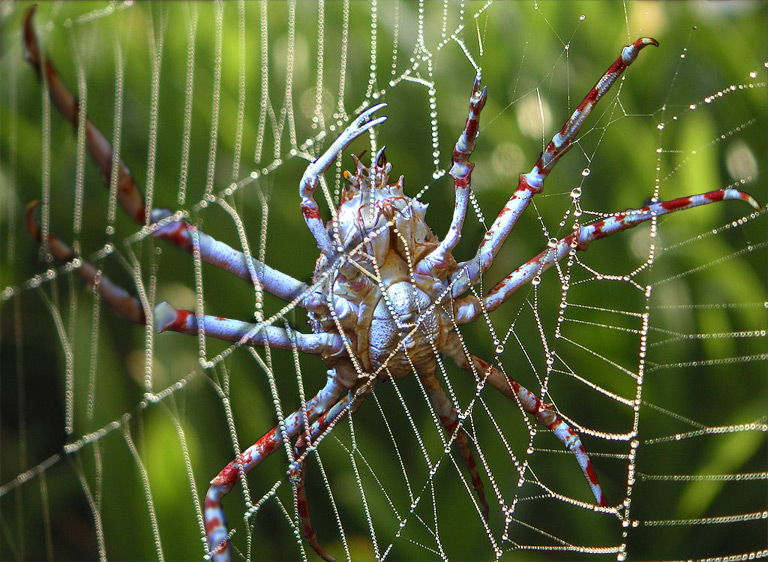 Photoshop-Design von arttrainer für DesignCrowd (Community Contests) | Design #9015213