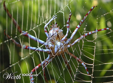 Photoshop Design by arttrainer