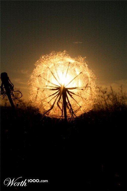 Photography by jemtman