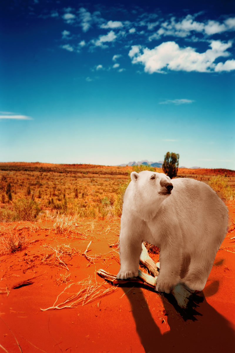 Design Photoshop par schnipper pour DesignCrowd (Community Contests) | Design #9015222