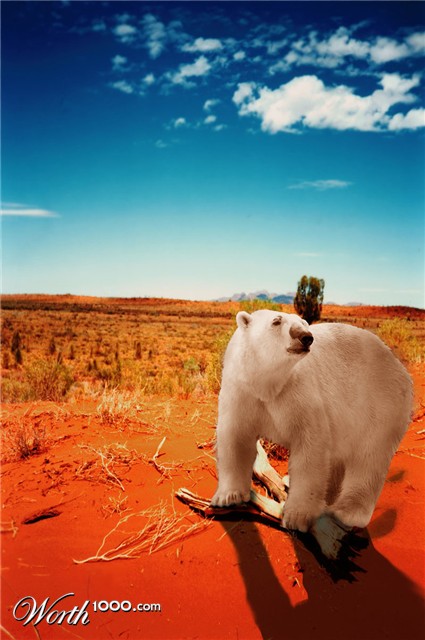 Photoshop Design by schnipper