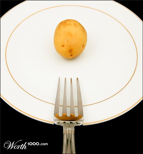 Photography by fatheroftwo