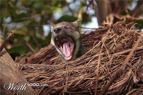 Photoshop Design by RickLaMesa