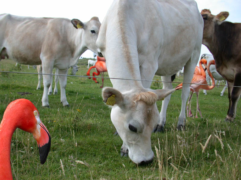 Photoshop-Design von Feature für DesignCrowd (Community Contests) | Design #9015280