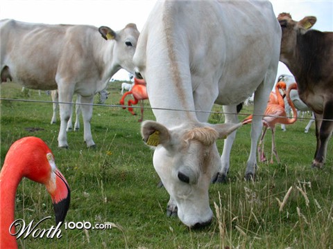 Photoshop Design by Feature