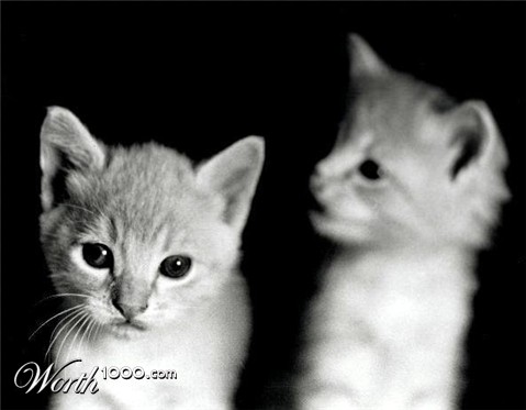 Photography by freakish