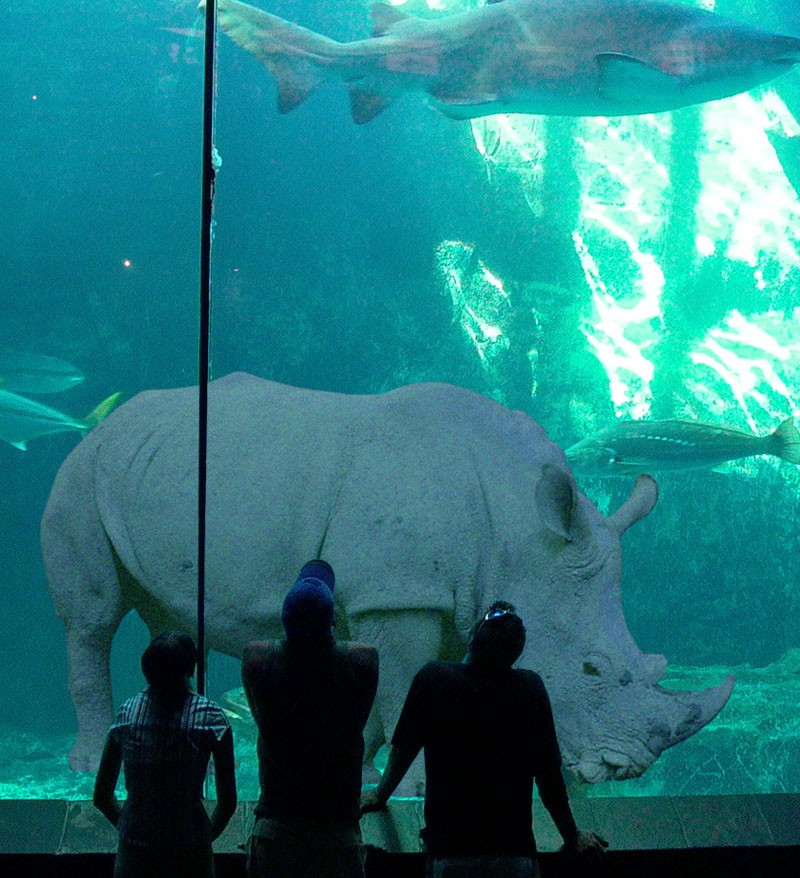 Photoshop Design by scsonka for DesignCrowd (Community Contests) | Design #9015251