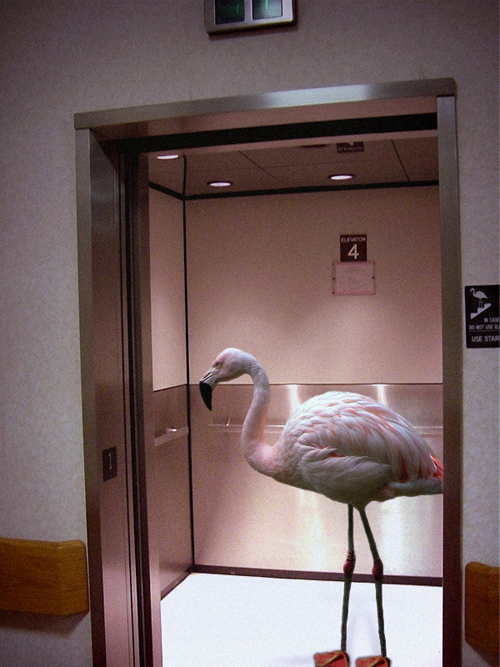 Photoshop Design by A1A1L1O1A1A1M2 for DesignCrowd (Community Contests) | Design #9015218