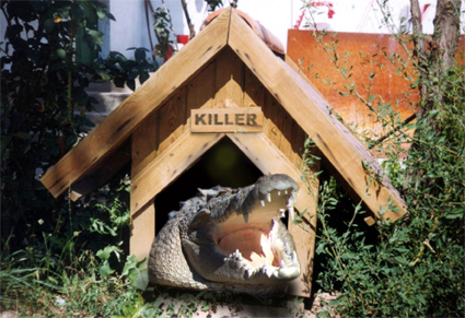 Photoshop Design by nvx655 for DesignCrowd (Community Contests) | Design #9015242