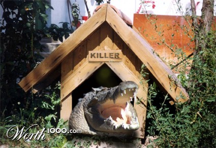 Photoshop Design by nvx655