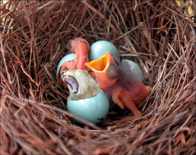 Design Photoshop par IceYeti pour DesignCrowd (Community Contests) | Design #9015255