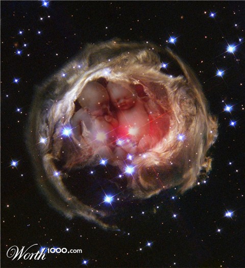 Photoshop Design by Fishwife