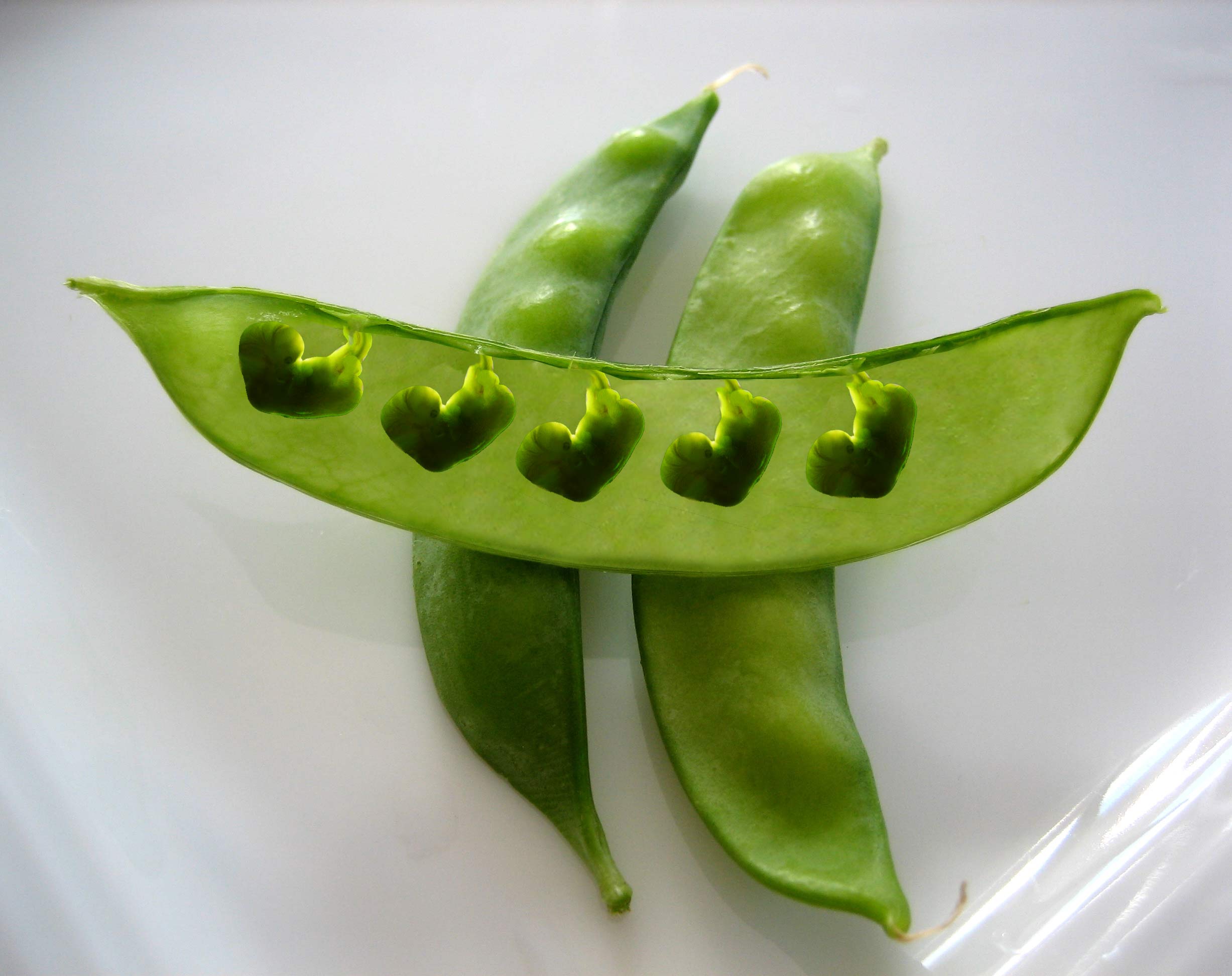 Design Photoshop par Saddy10 pour DesignCrowd (Community Contests) | Design #9021195