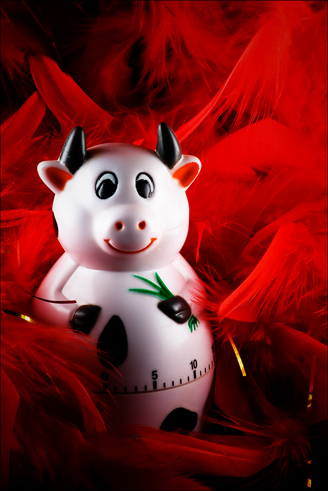 Photography by Keelonzo for DesignCrowd (Community Contests) | Design #9013981