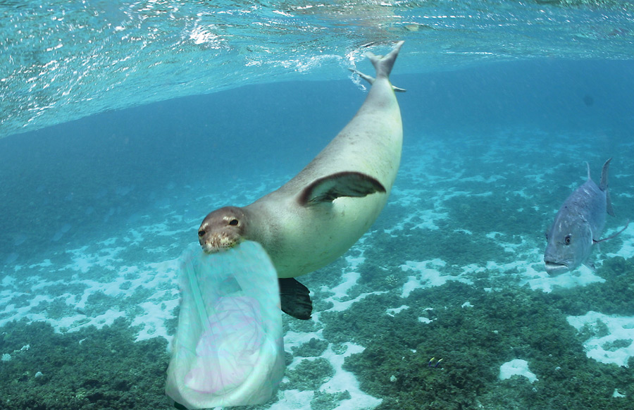 Photoshop-Design von Gypzee für DesignCrowd (Community Contests) | Design #9021197