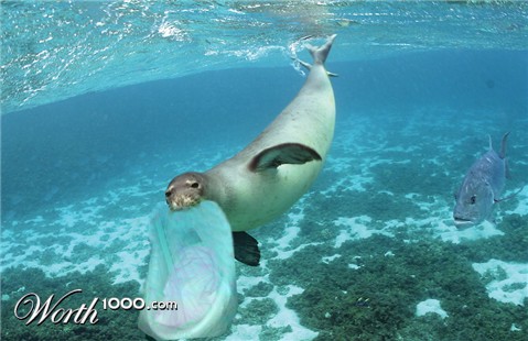 Photoshop Design by Gypzee