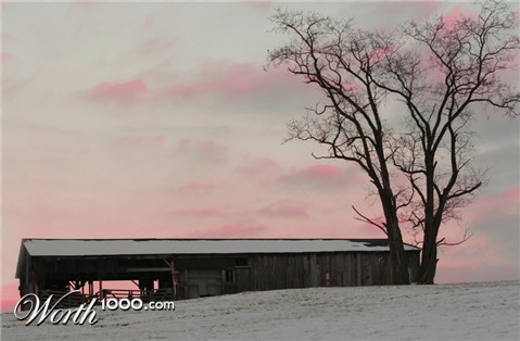 Photography by bmxjrod