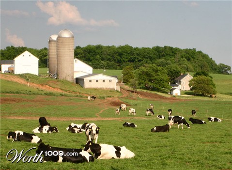 Photography by rdchdwck