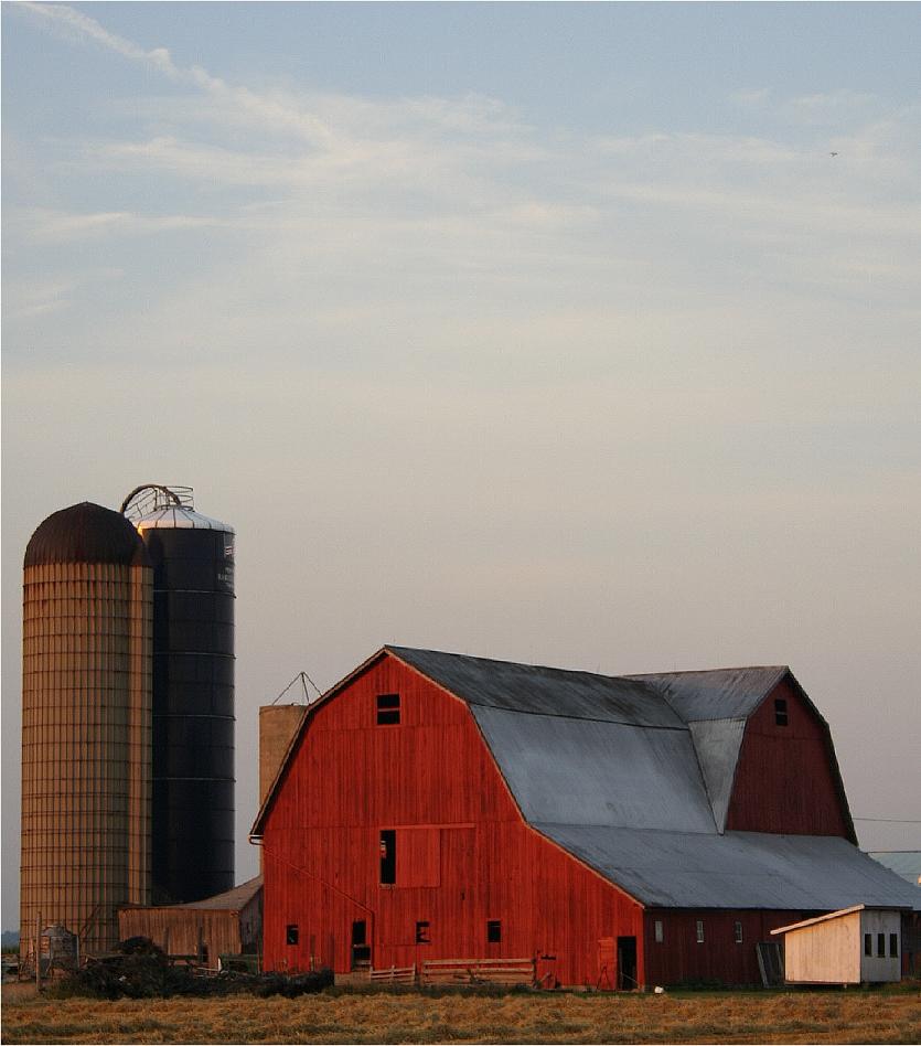 Photography by starshimmer for DesignCrowd (Community Contests) | Design #9018321