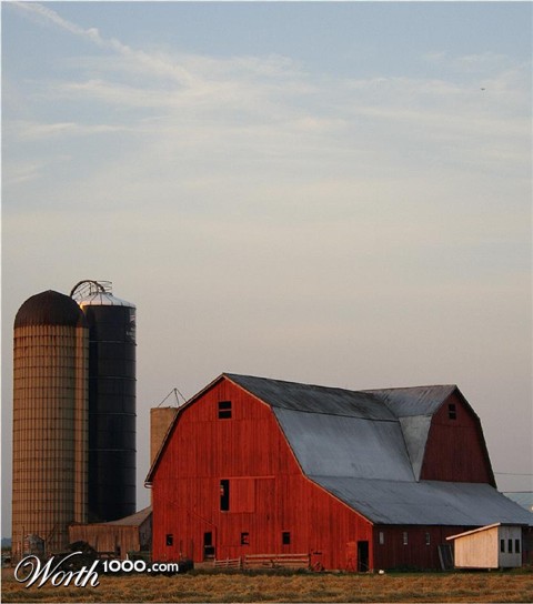 Photography by starshimmer