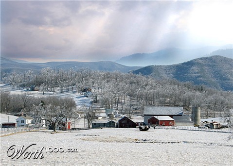 Photography by starrwalker