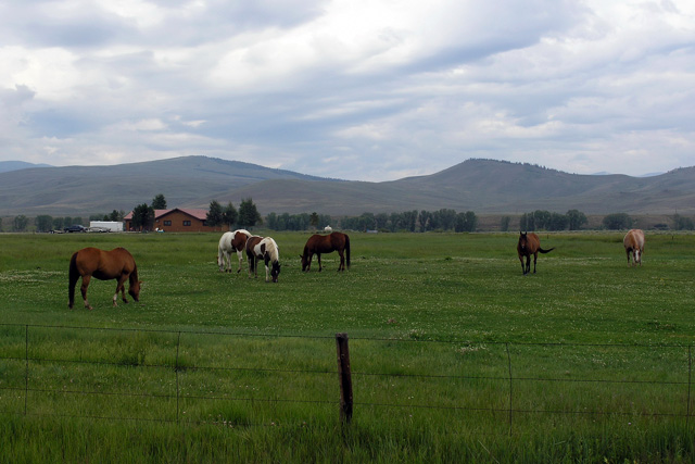 Fotografie von Inquisitive für DesignCrowd (Community Contests) | Design #9018334