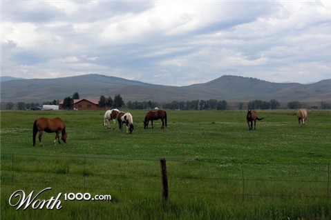 Photography by Inquisitive