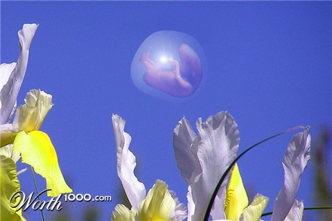 Photoshop Design by matster
