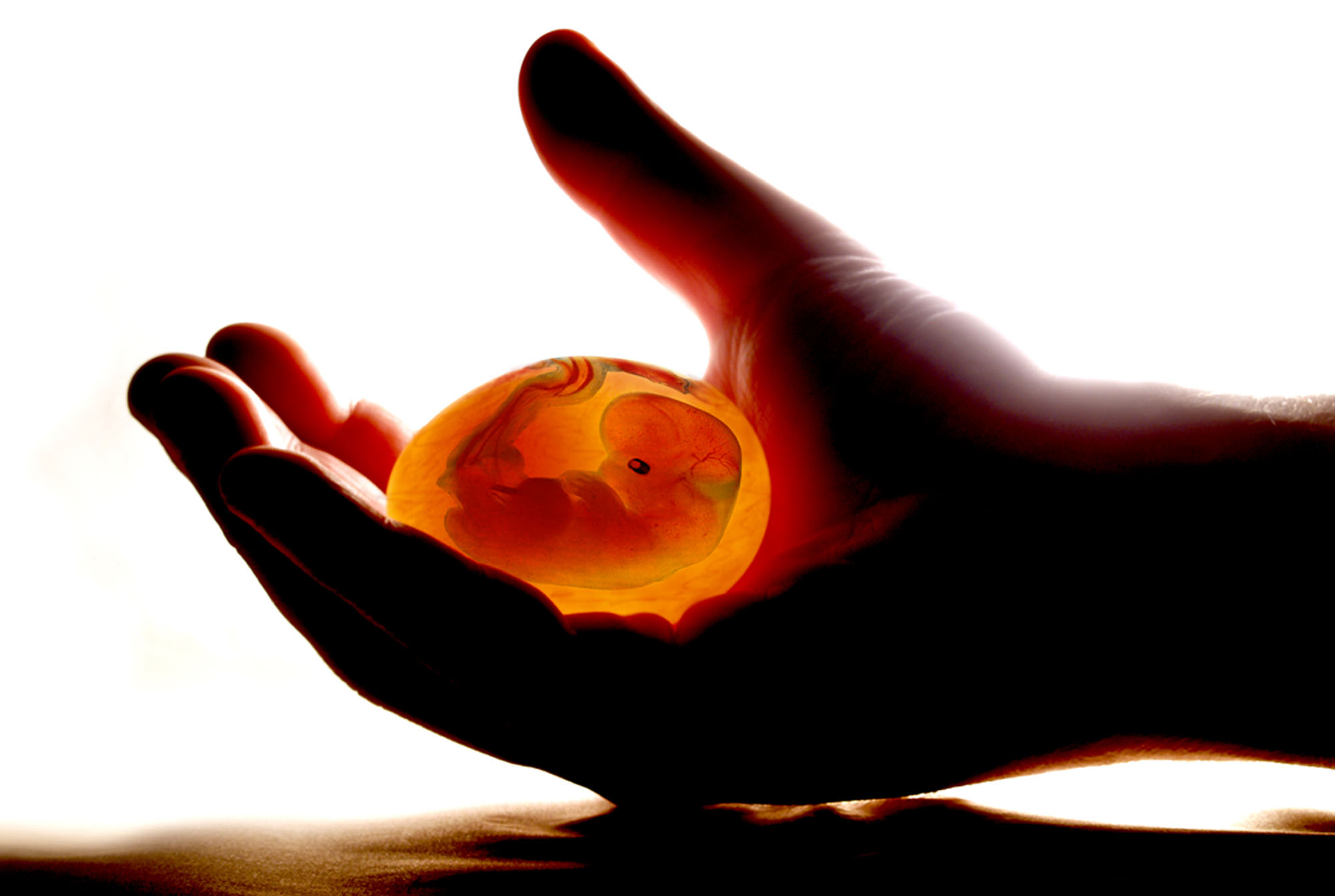 Photoshop-Design von zynnya für DesignCrowd (Community Contests) | Design #9021259