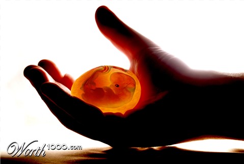 Photoshop Design by zynnya