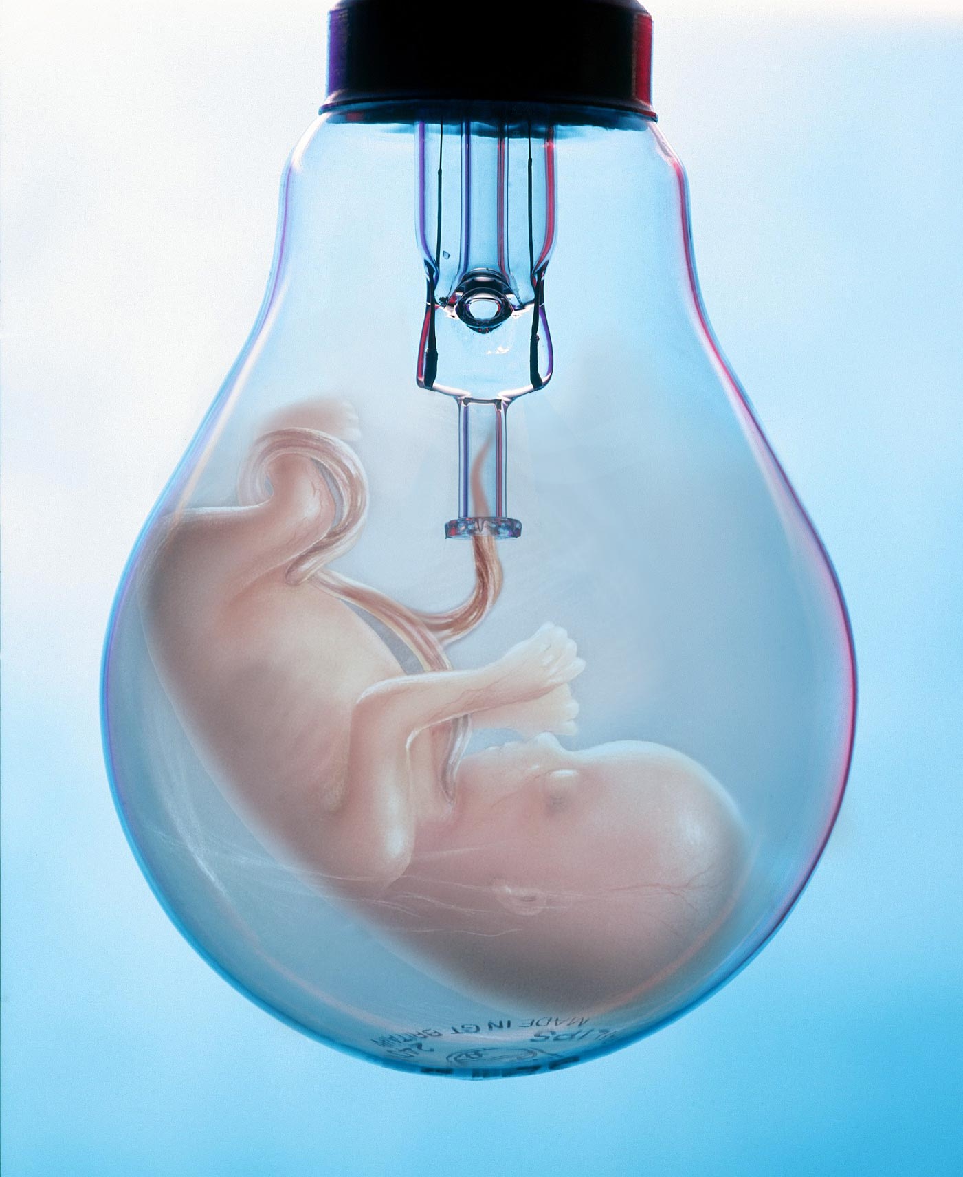 Photoshop Design by nordcbeck for DesignCrowd (Community Contests) | Design #9021286