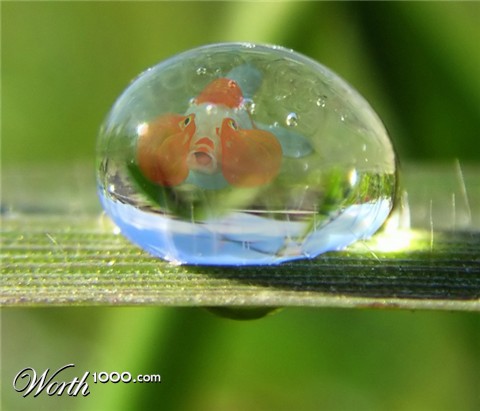 Photoshop Design by damirspanja