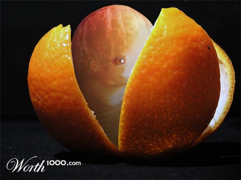 Photoshop Design by RickLaMesa