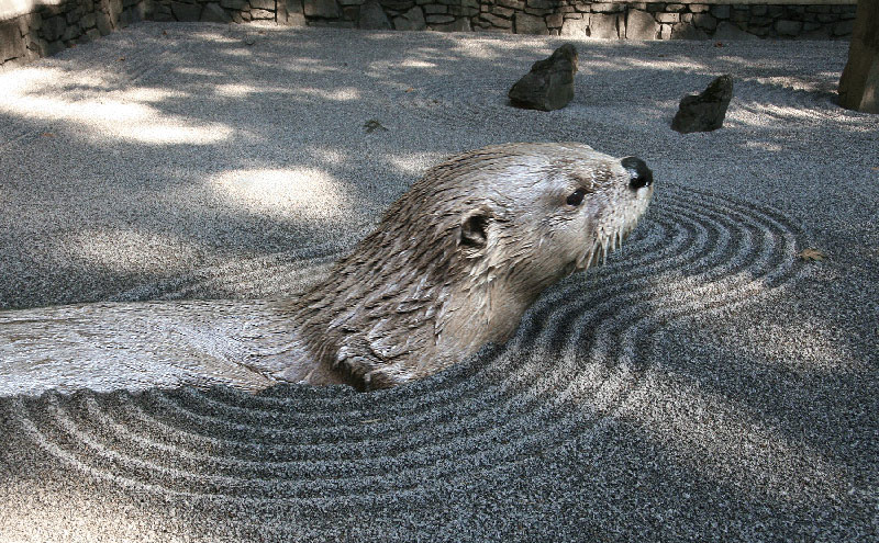 Photoshop Design by vertigopolka for DesignCrowd (Community Contests) | Design #9014140