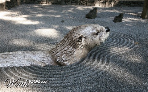 Photoshop Design by vertigopolka