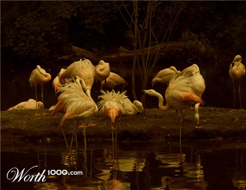 Photography by Ritu26